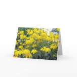 Your beauty card