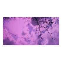 Your Carbon FootPrint Customized Photo Card