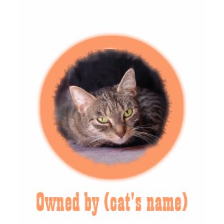 Owned by Pet