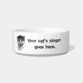 Cat Slogans