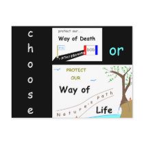 Your Choice Postcard postcards