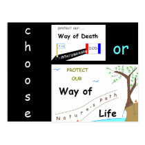 Your Choice Postcard postcards