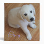 Your cute pet on a binder binders