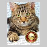Your cute pet - Postcard postcards