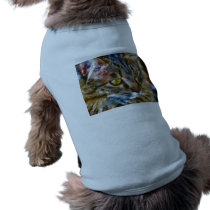 Your Dog Wears a Cat pet clothing