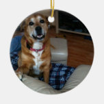 Your doggy on an ornament ornaments