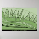 Your Eyes Again Print