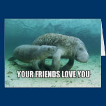 "Your Friends Love You" Calming Manatee Card cards