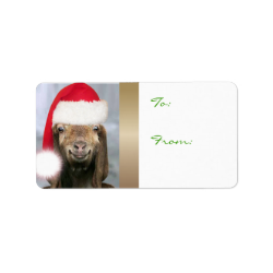 YOUR GOAT PHOTO Goat Christmas Gift Tag Address Label