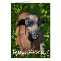 YOUR GOAT PHOTO in this Boughs and Mistletoe Frame Greeting Card