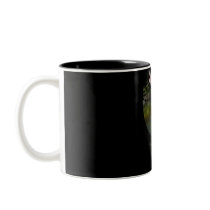 your guiding light mugs