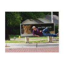 Your Little Animals by JLH Post Card