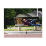 Your Little Animals by JLH Post Card