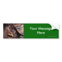 Your Message bumper stickers by WorldDesign Your Message bumper stickers