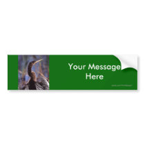 Your Message Bumper Stickers