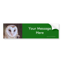Your Message bumper stickers by WorldDesign Your Message bumper stickers