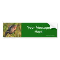 Your Message Bumper Sticker