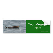 Your Message bumper stickers by WorldDesign Your Message bumper stickers