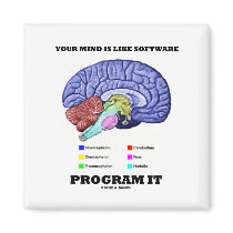 Your Mind Is Like Software Program It (Brain) Fridge Magnets