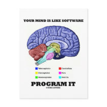 Your Mind Is Like Software Program It (Brain) Postcard