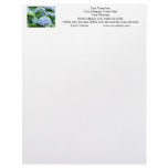Your Name Letterhead Address Phone Hydrangeas
