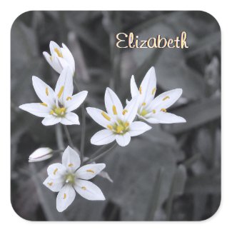 Your Name Wildflower Cluster Macro Photo Stickers