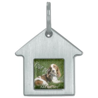 your pet doghouse tag pet tag