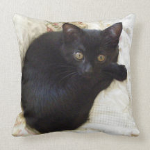 Your Pet Here American MoJo Pillows