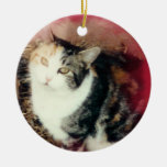 your pet photo ornament red