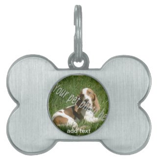 your pet photo tag pet tags