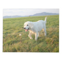 Your pet, puppy on a weekly planner notepads