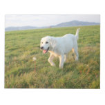 Your pet, puppy on a weekly planner notepads