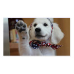 Your Pet Related Business card business cards