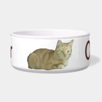 Your Pets Name Pet Bowl pet bowls