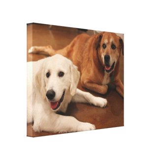 Your pets on a wrapped picture wrappedcanvas