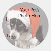 Your Pet's Photo on Christmas Name Tags Classic Round Sticker