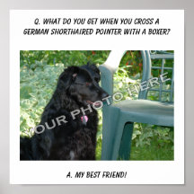 Your Photo! Best Friend German Shorthair Mix Print