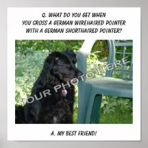 Your Photo! Best Friend German Wirehair Mix Posters