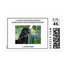 Your Photo Here! Best Friend Australian Kelpie Mix Postage Stamps