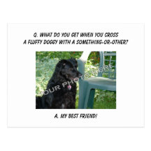 Your Photo Here! Best Friend Mutt Mixed Breed Dog Post Card