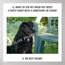 Your Photo Here! Best Friend Mutt Mixed Breed Dog Poster
