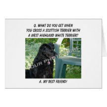 Your Photo Here! Best Friend Scottish Terrier Mix Greeting Card