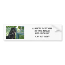 Your Photo Here! My Best Friend Basenji Mix Bumper Stickers