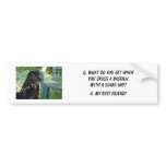 Your Photo Here! My Best Friend Basenji Mix Bumper Stickers