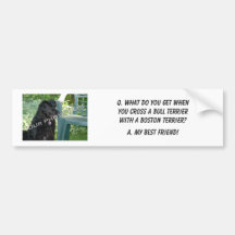 Your Photo Here! My Best Friend Bull Terrier Mix Bumper Sticker