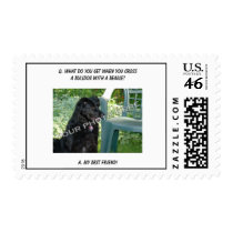 Your Photo Here! My Best Friend Bulldog Mix Stamp