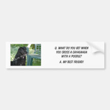 Your Photo Here! My Best Friend Chihuahua Mix Bumper Sticker