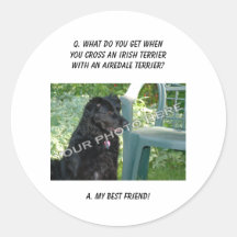 Your Photo Here! My Best Friend Irish Terrier Mix Stickers