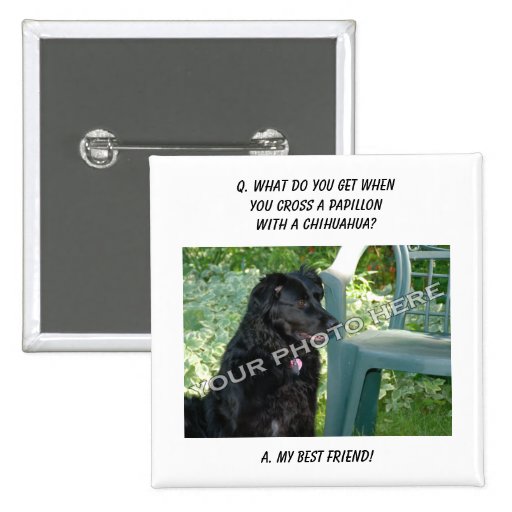 Your Photo Here! My Best Friend Papillon Mix Pinback Buttons