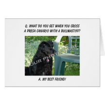 Your Photo Here! My Best Friend Presa Canario Mix Cards